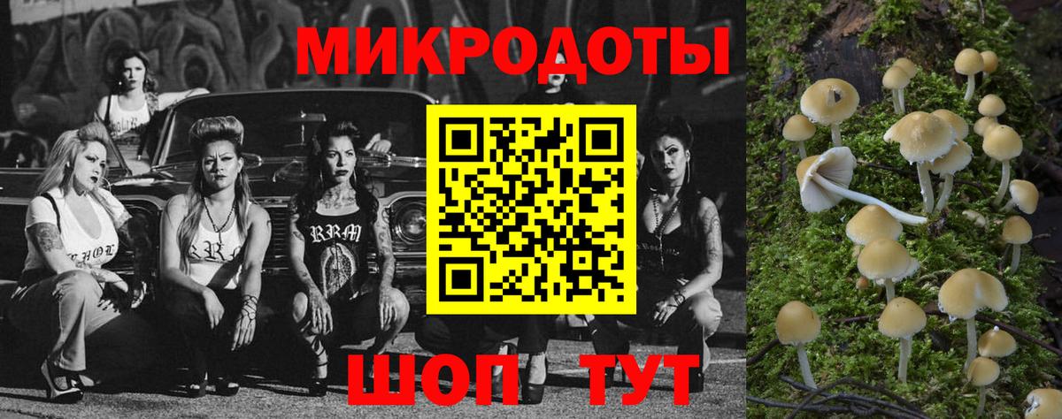 Псилоцибиновые грибы Cubensis  Вход с VPN  где найти   Армавир  Галлюциногенные грибы мицелий 